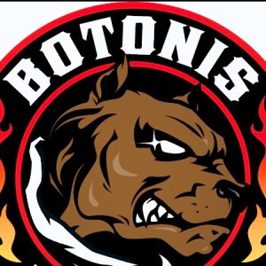 Ioannis Botonis academy